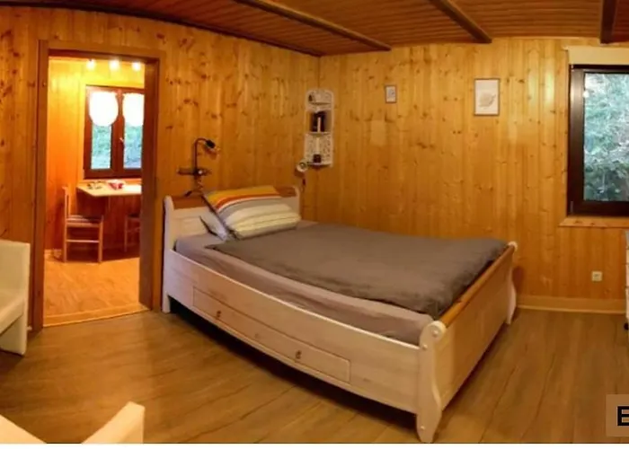 Waldnest Odenwald - Waldhauszimmer بيت للعطل